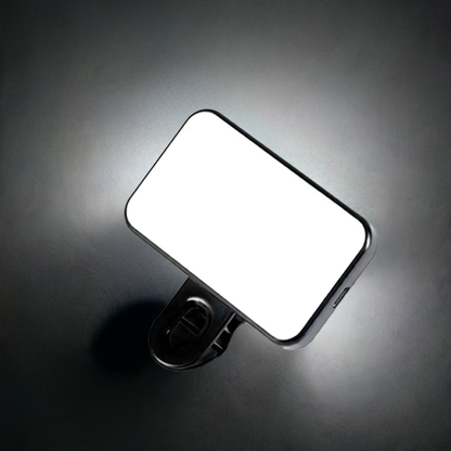 Portable LED Light